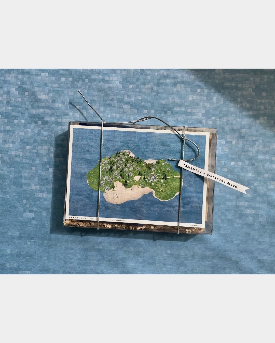 クロマツの島 詳細2