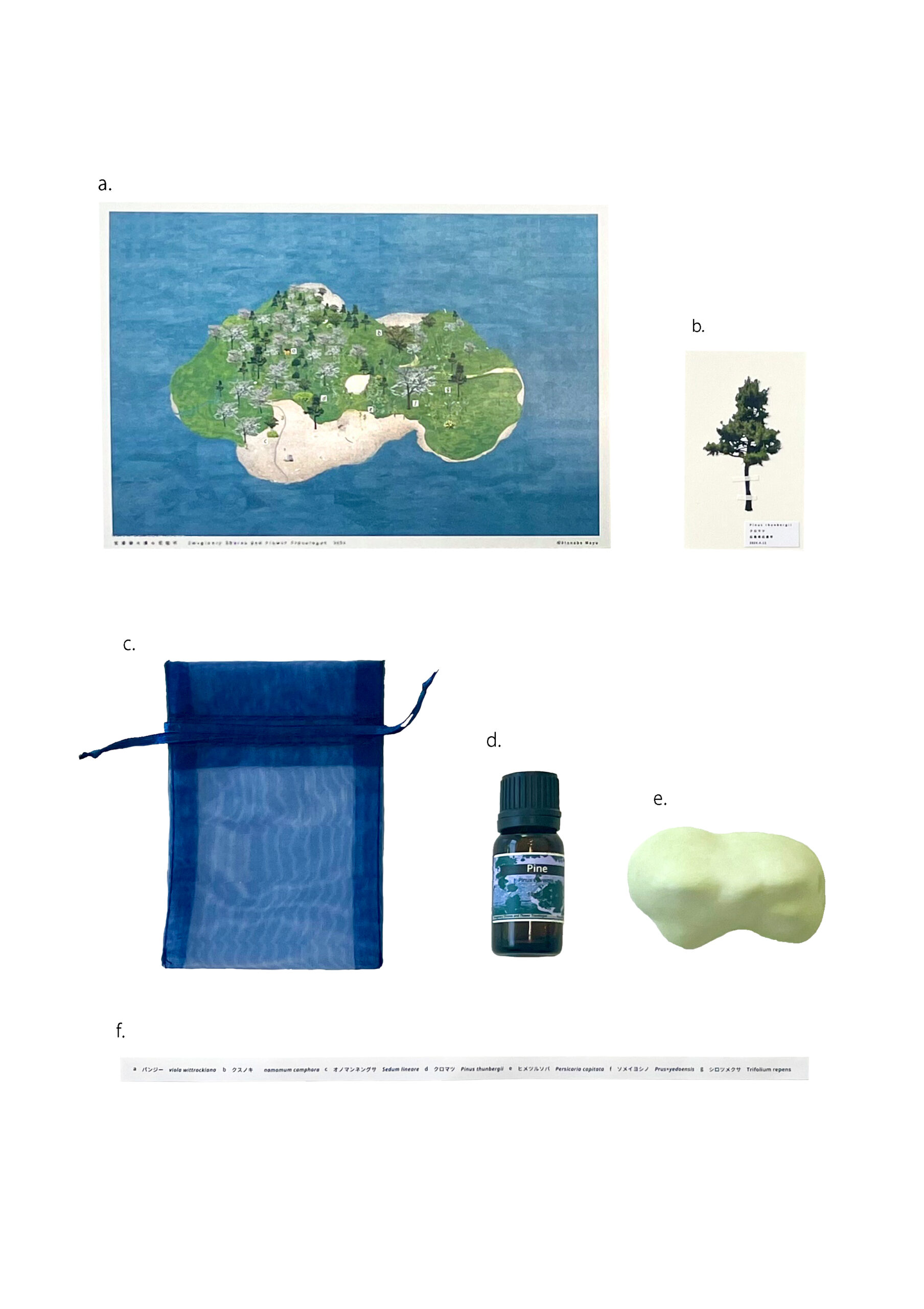 空想トラベルアロマキット〜クロマツの島〜 - 画像 (3)