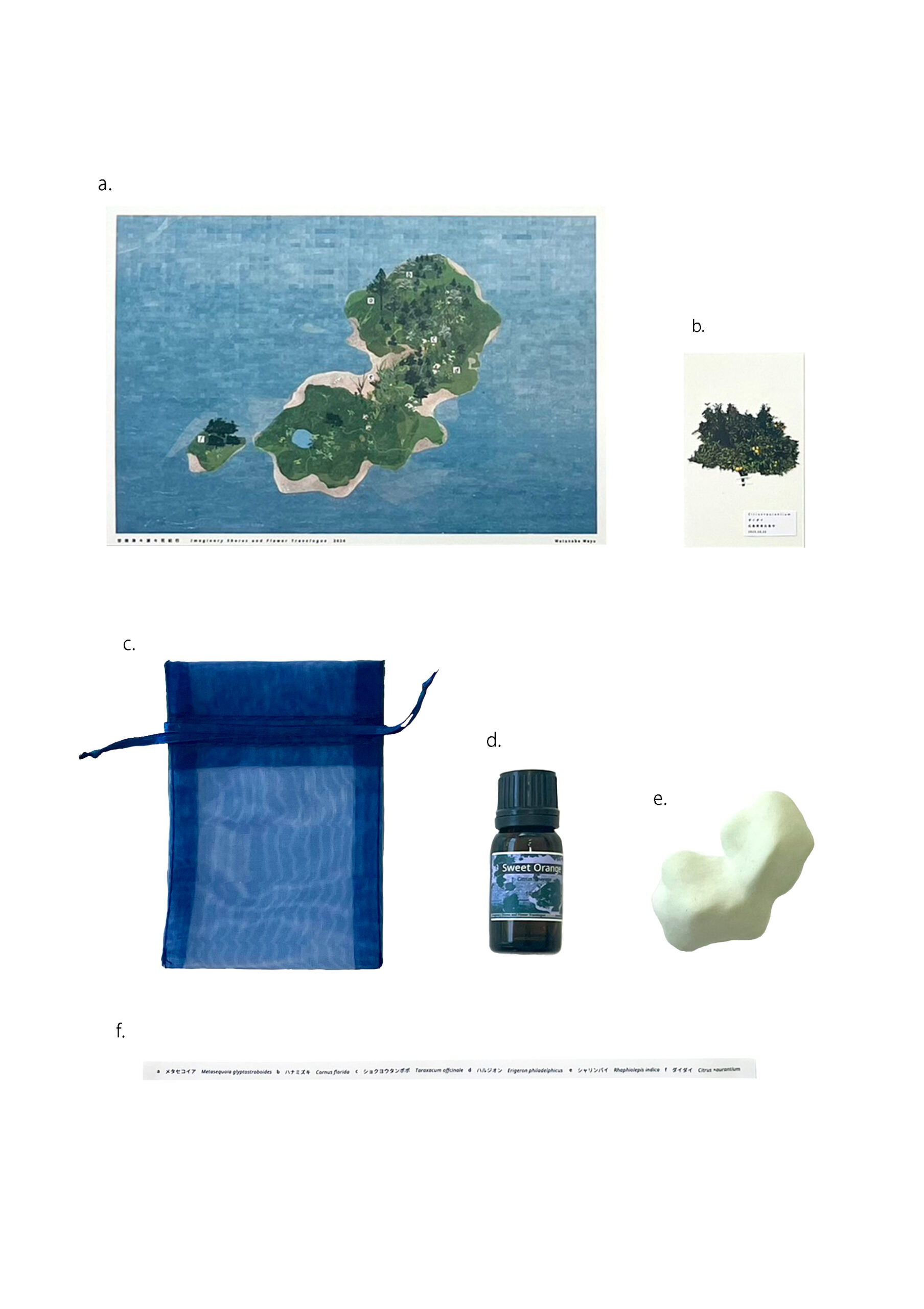 空想トラベルアロマキット〜ダイダイの島〜 - 画像 (3)